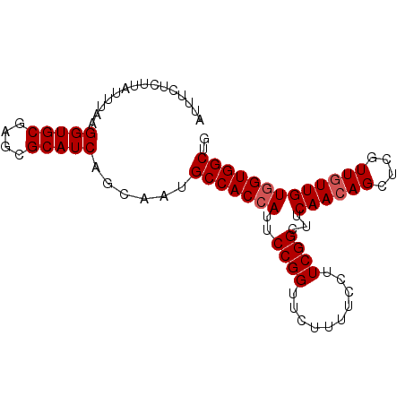 secondary structure