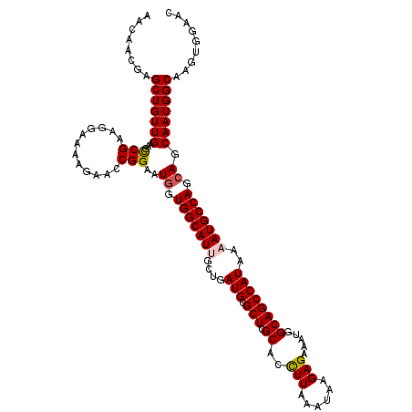 secondary structure