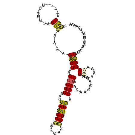 secondary structure