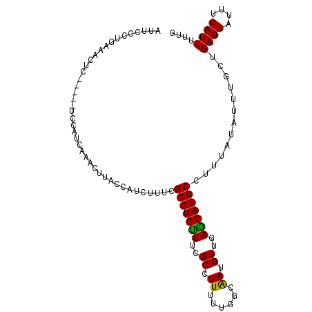secondary structure