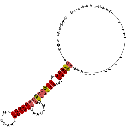 secondary structure