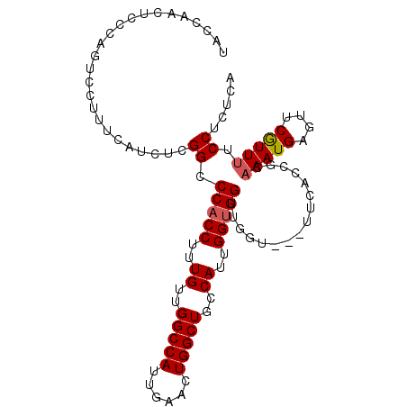 secondary structure