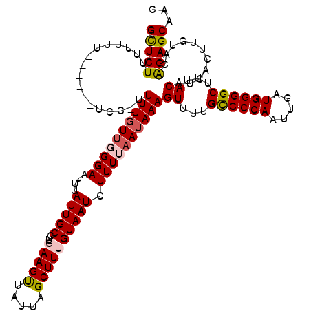 secondary structure