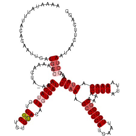 secondary structure