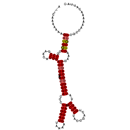 secondary structure