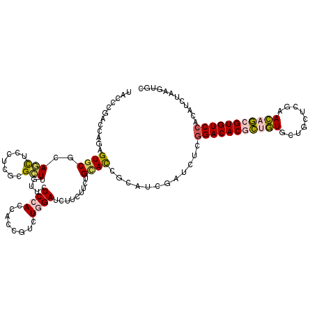 secondary structure