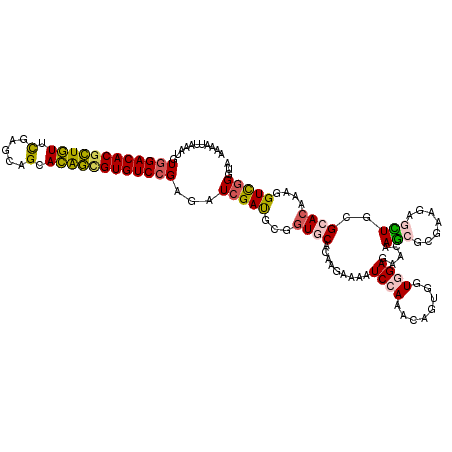 secondary structure