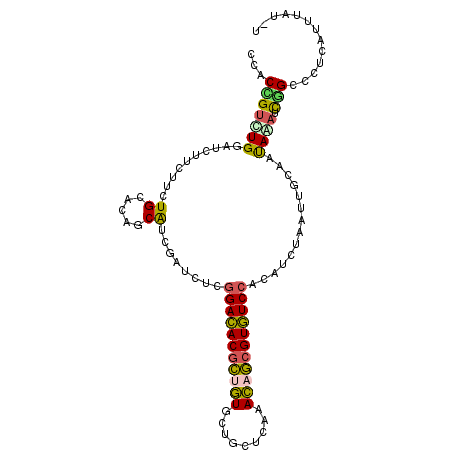 secondary structure