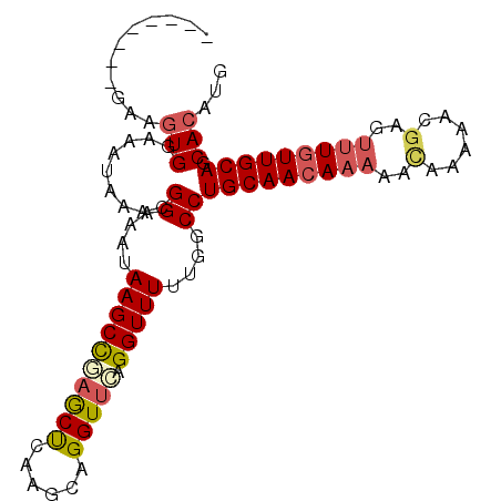 secondary structure