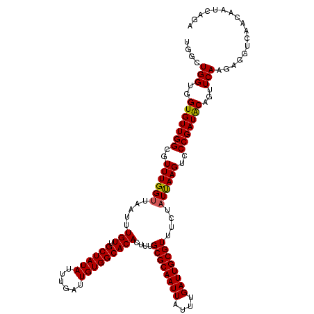 secondary structure
