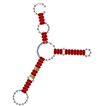 secondary structure