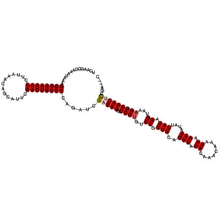 secondary structure