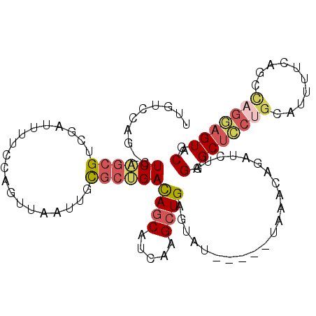 secondary structure