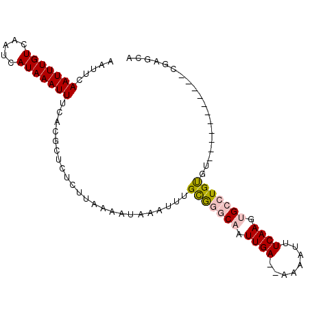 secondary structure