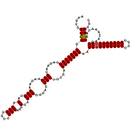 secondary structure