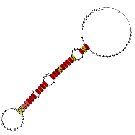 secondary structure
