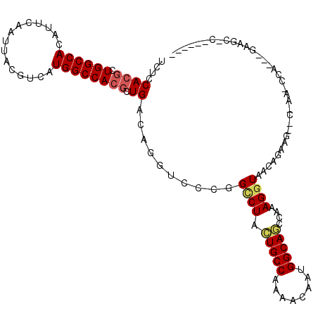 secondary structure