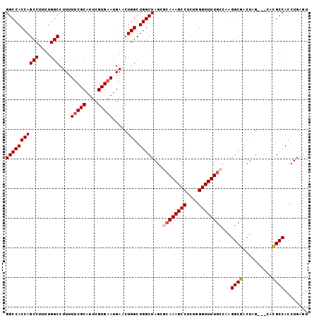 dotplot