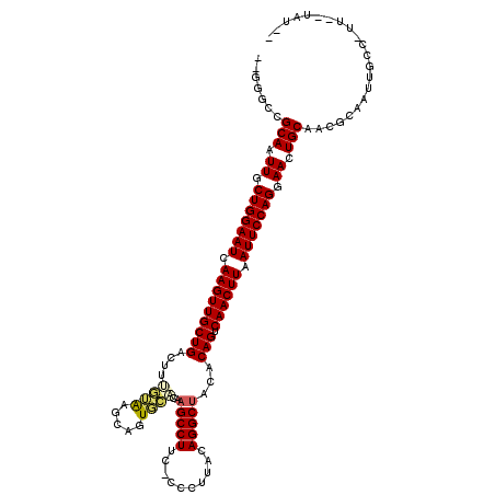 secondary structure