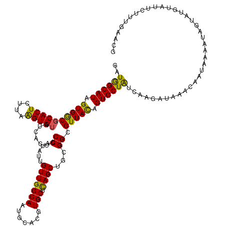 secondary structure