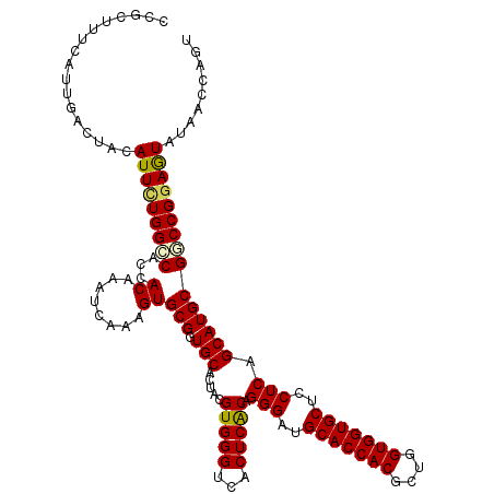 secondary structure