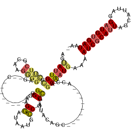 secondary structure