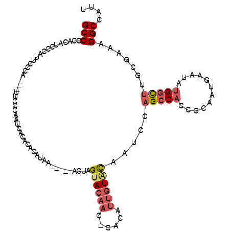secondary structure