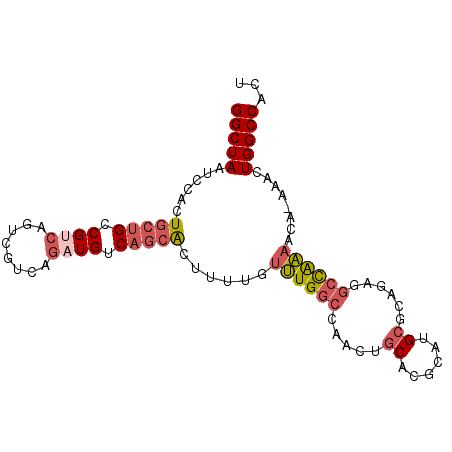 secondary structure