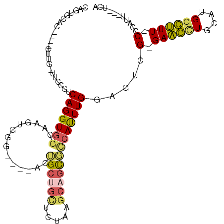 secondary structure