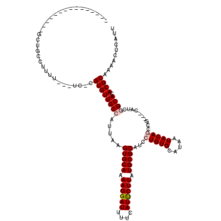 secondary structure