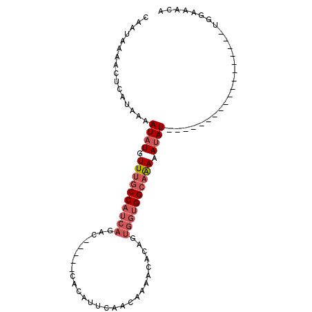 secondary structure