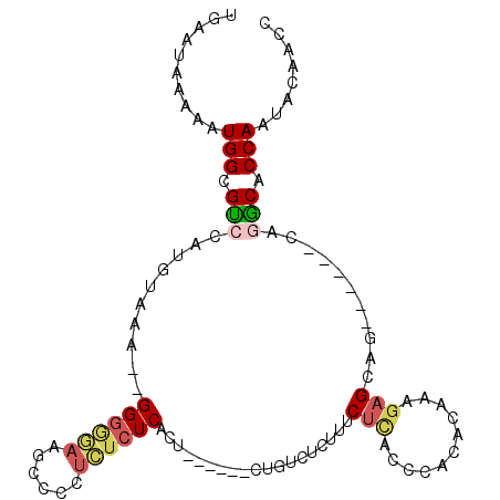 secondary structure
