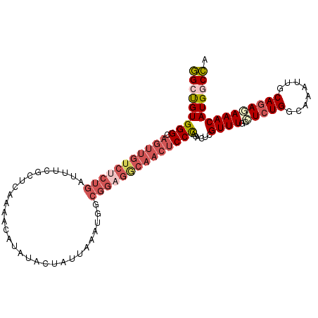 secondary structure