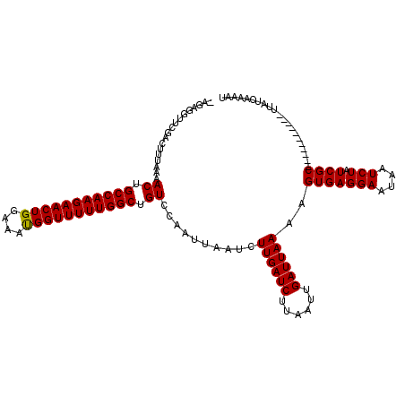 secondary structure