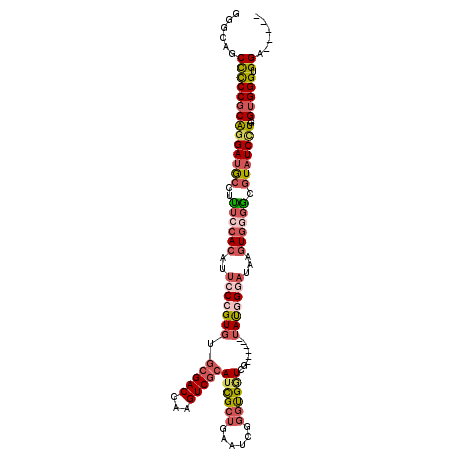 secondary structure