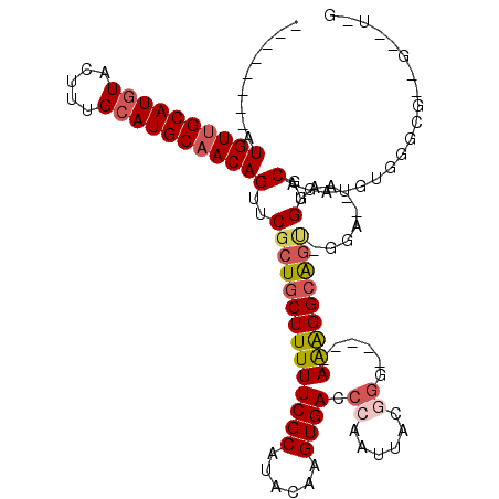 secondary structure