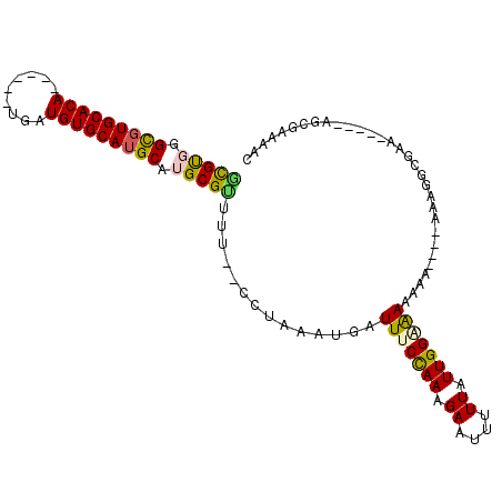 secondary structure
