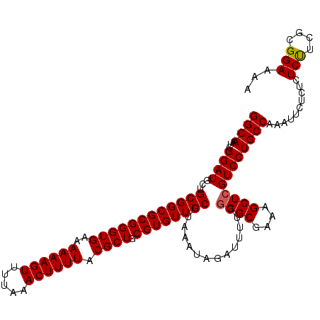 secondary structure