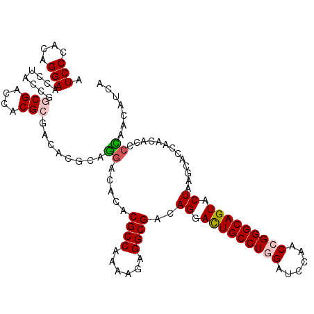 secondary structure
