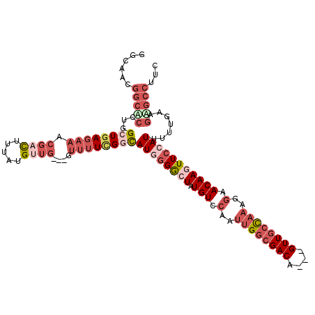 secondary structure