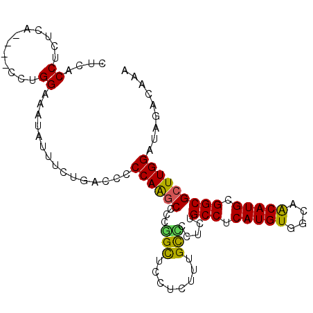 secondary structure