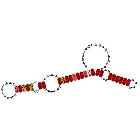secondary structure