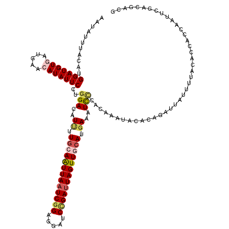 secondary structure