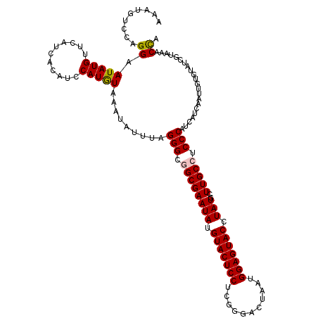 secondary structure