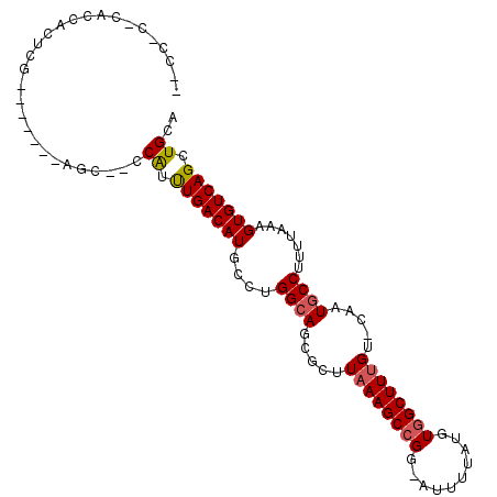 secondary structure