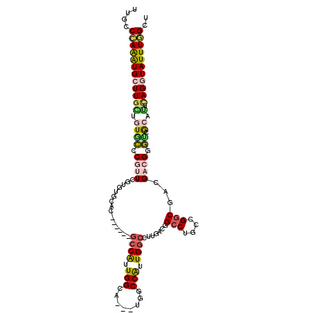 secondary structure