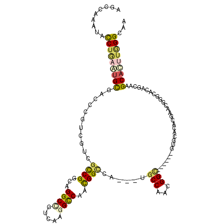 secondary structure