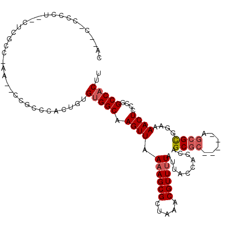 secondary structure