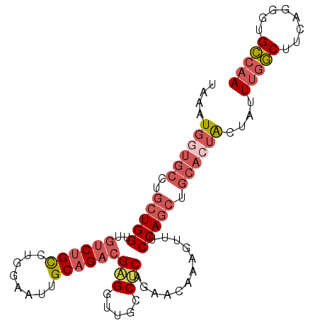 secondary structure
