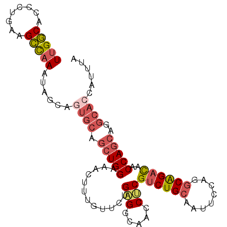 secondary structure